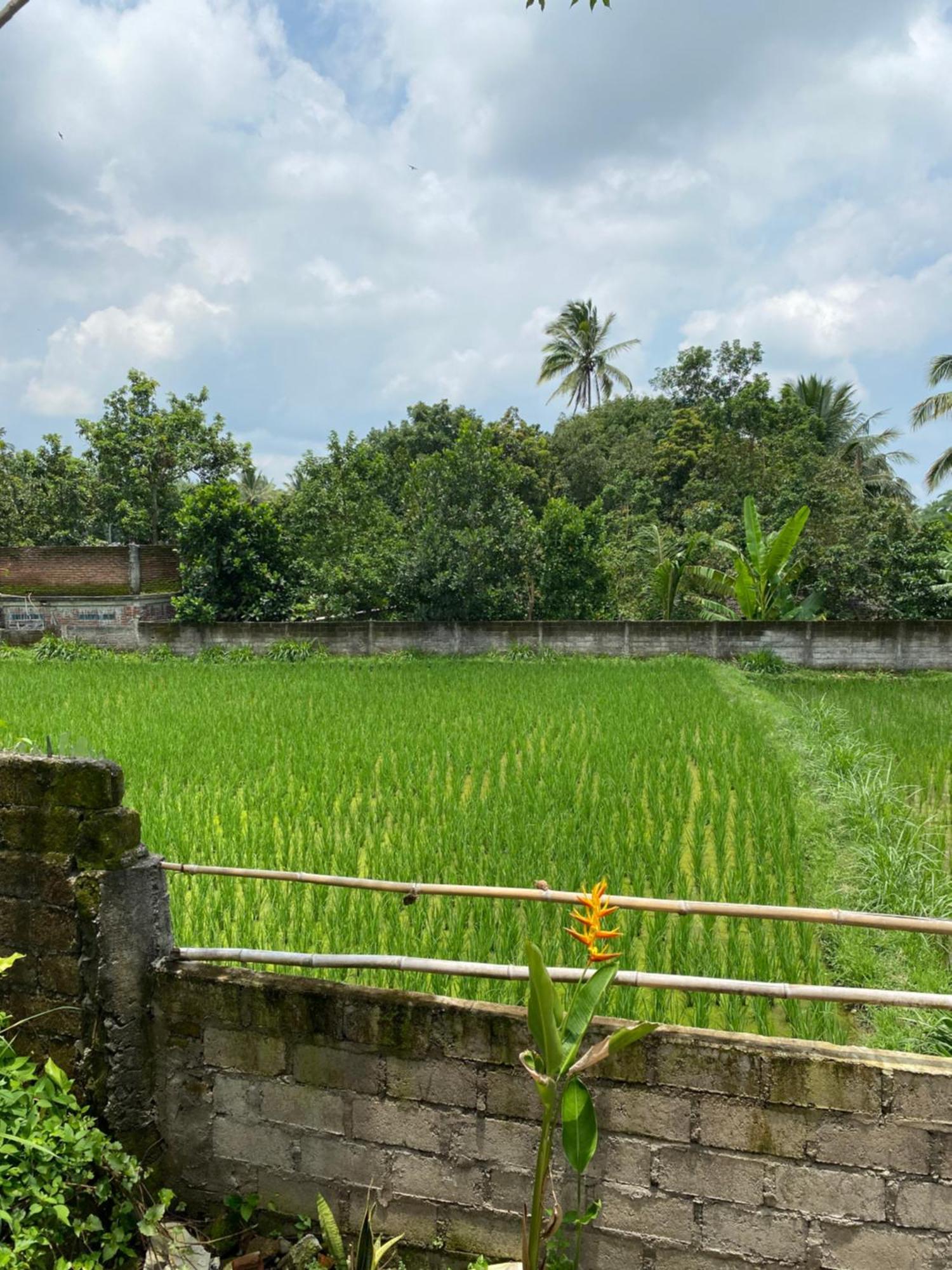 Kembang Kuning Cottages Tetebatu Eksteriør billede