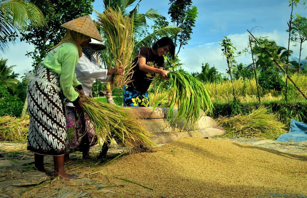 Kembang Kuning Cottages Tetebatu Eksteriør billede